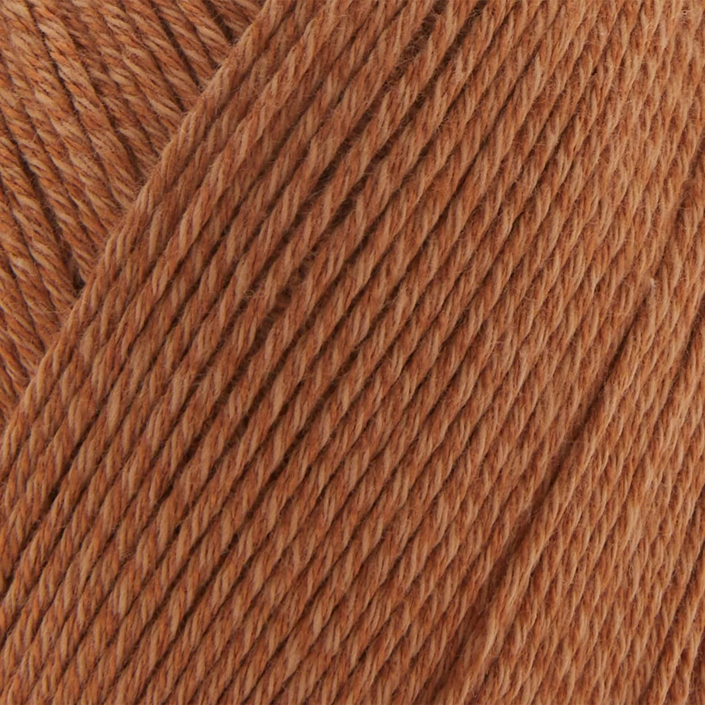 Bamboo Pop