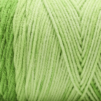 Basix® Worsted Value Ombre