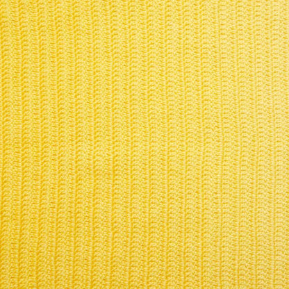 Anti-Pilling Everyday® Worsted Gradient