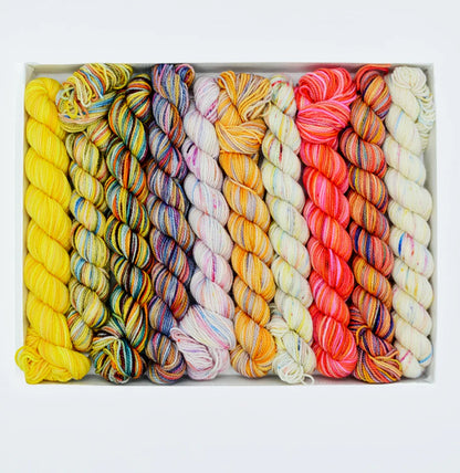 Koigu Pencil Box