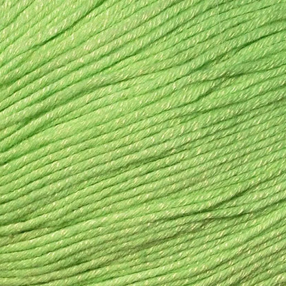Bamboo Pop