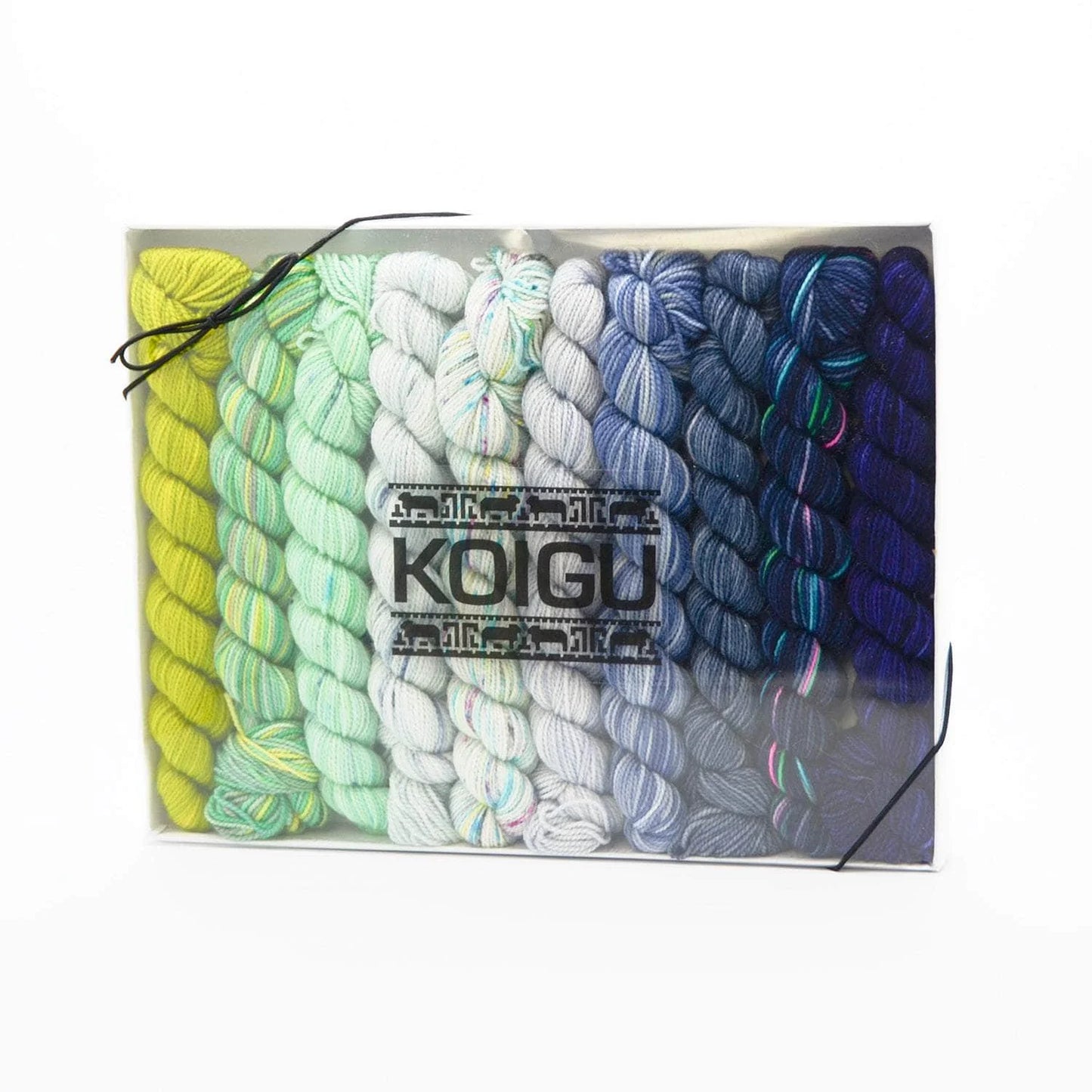 Koigu Pencil Box