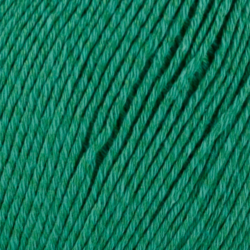 Bamboo Pop