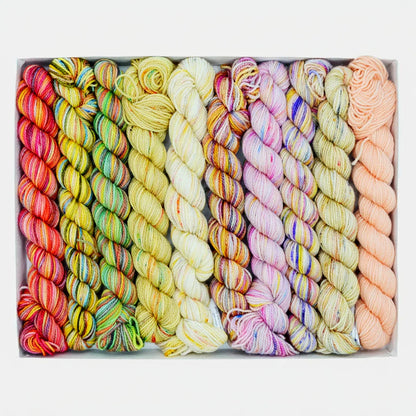 Koigu Pencil Box