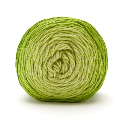 Anti-Pilling Everyday® Worsted Gradient