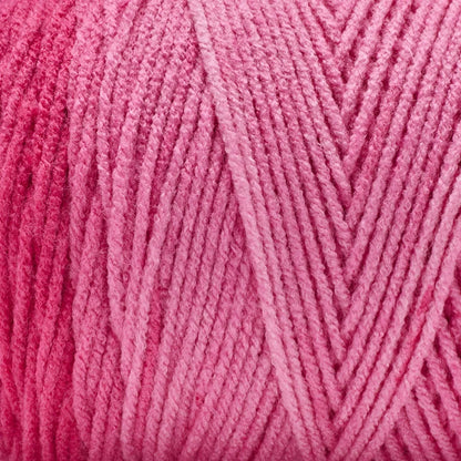 Basix® Worsted Value Ombre
