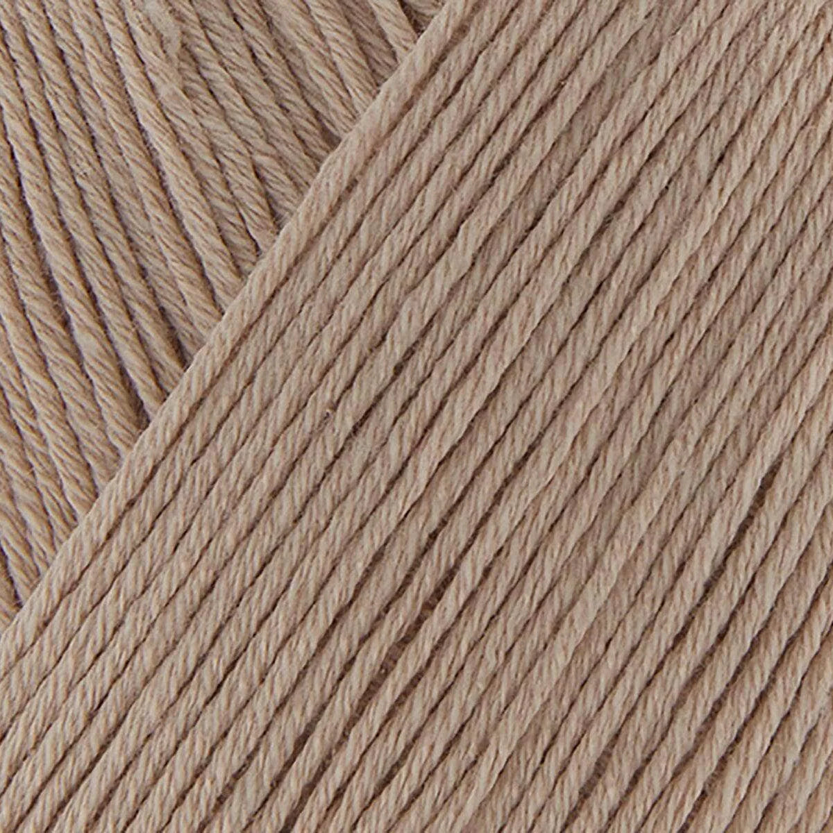 Bamboo Pop