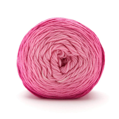 Anti-Pilling Everyday® Worsted Gradient
