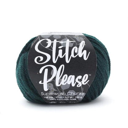 Stitch Please™ Superwash Chunky