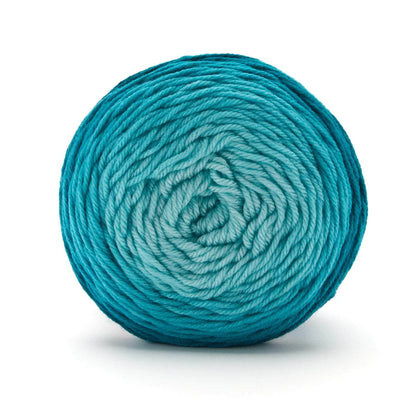 Anti-Pilling Everyday® Worsted Gradient