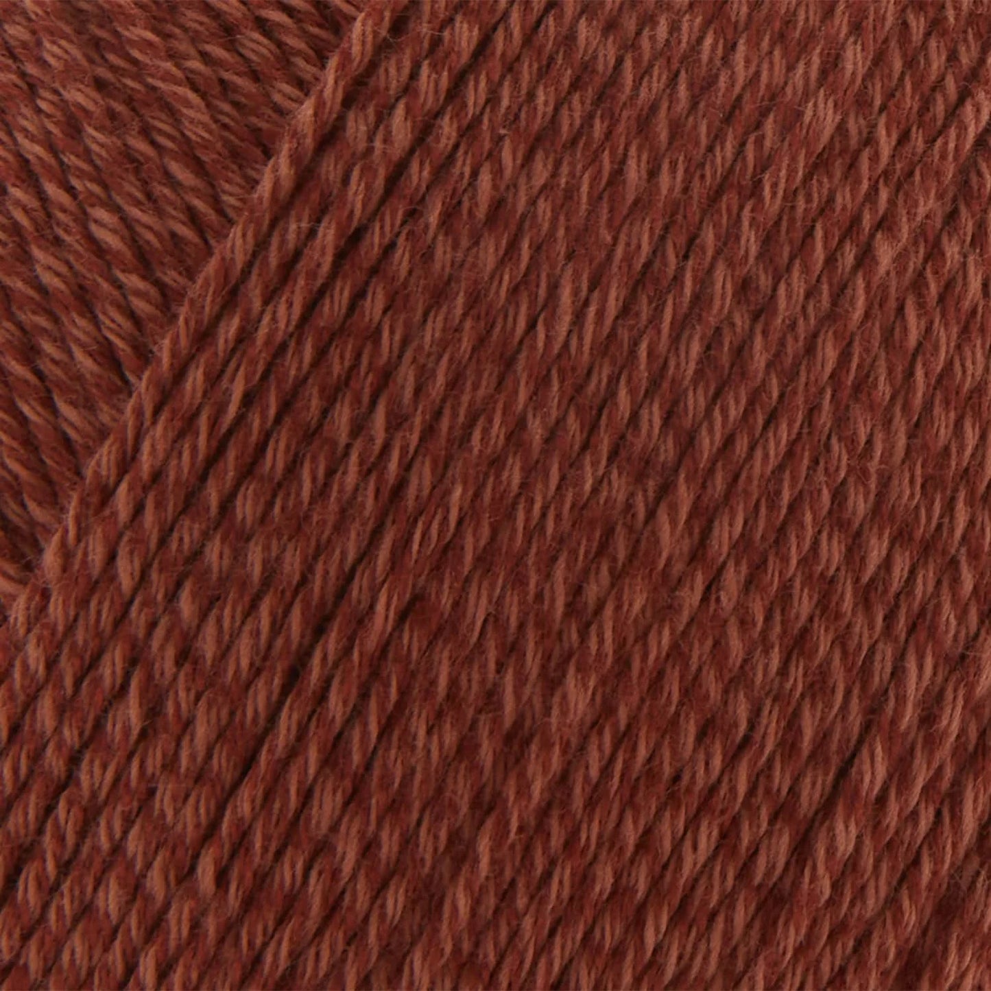 Bamboo Pop