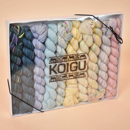 Koigu Pencil Box