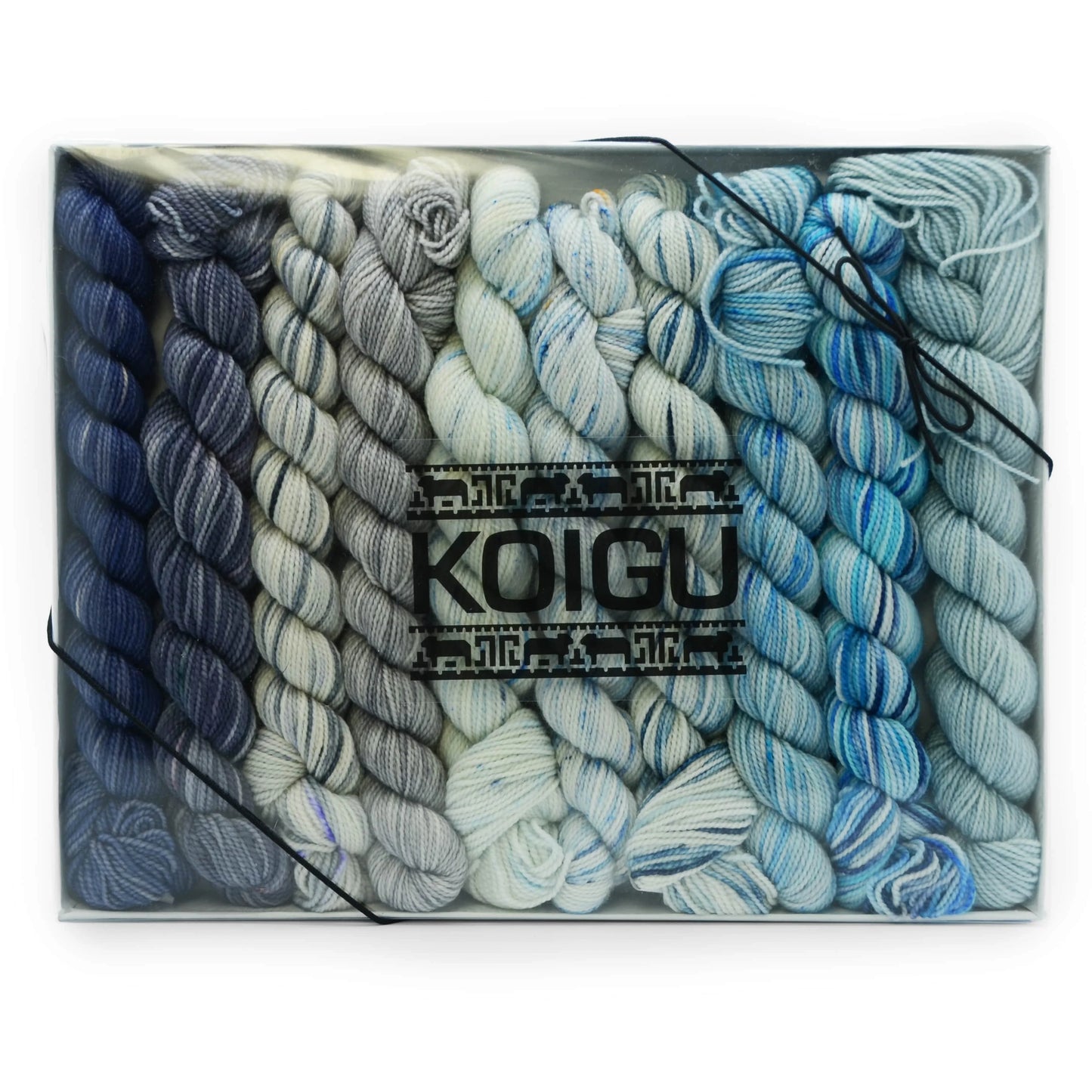 Koigu Pencil Box
