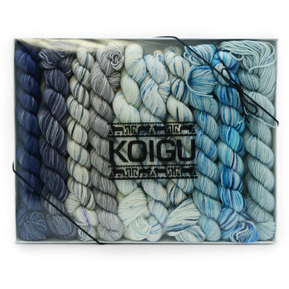 Koigu Pencil Box