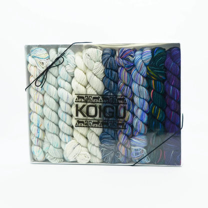 Koigu Pencil Box