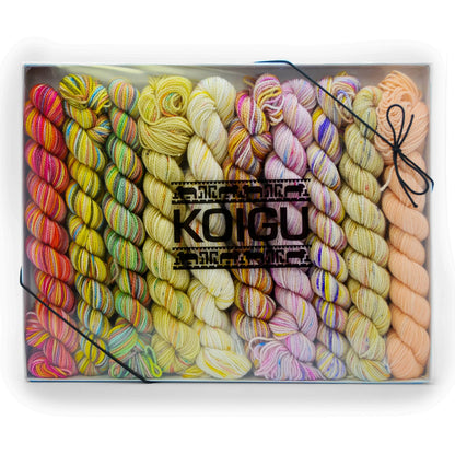 Koigu Pencil Box