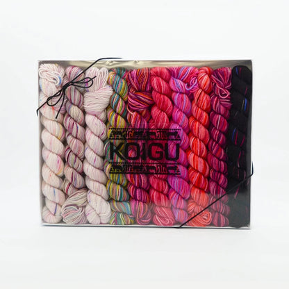 Koigu Pencil Box