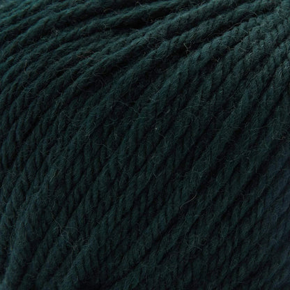 Stitch Please™ Superwash Chunky