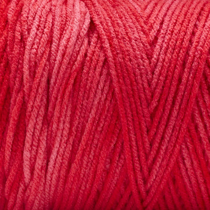 Basix® Worsted Value Ombre