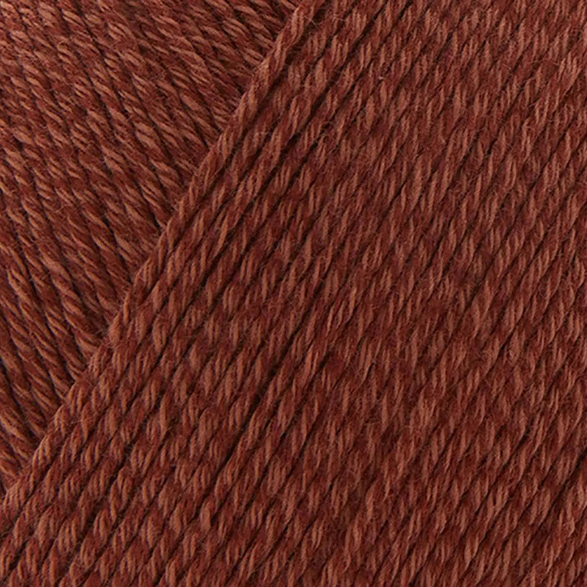Bamboo Pop