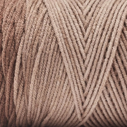 Basix® Worsted Value Ombre