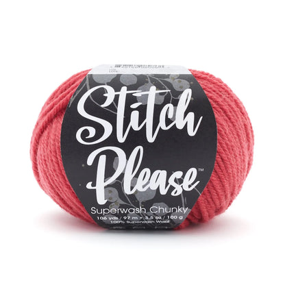 Stitch Please™ Superwash Chunky