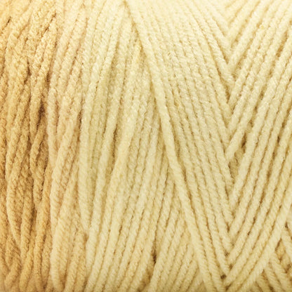 Basix® Worsted Value Ombre