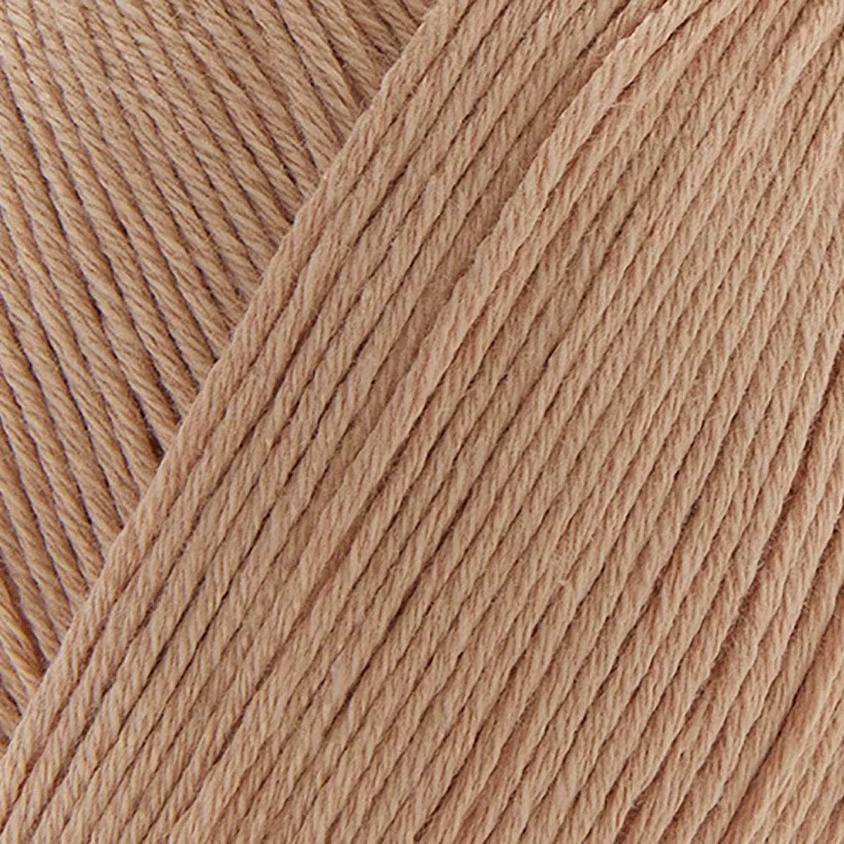 Bamboo Pop