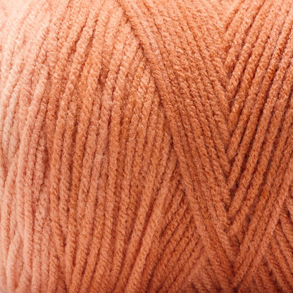 Basix® Worsted Value Ombre