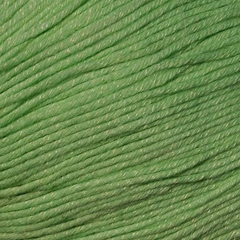 Bamboo Pop
