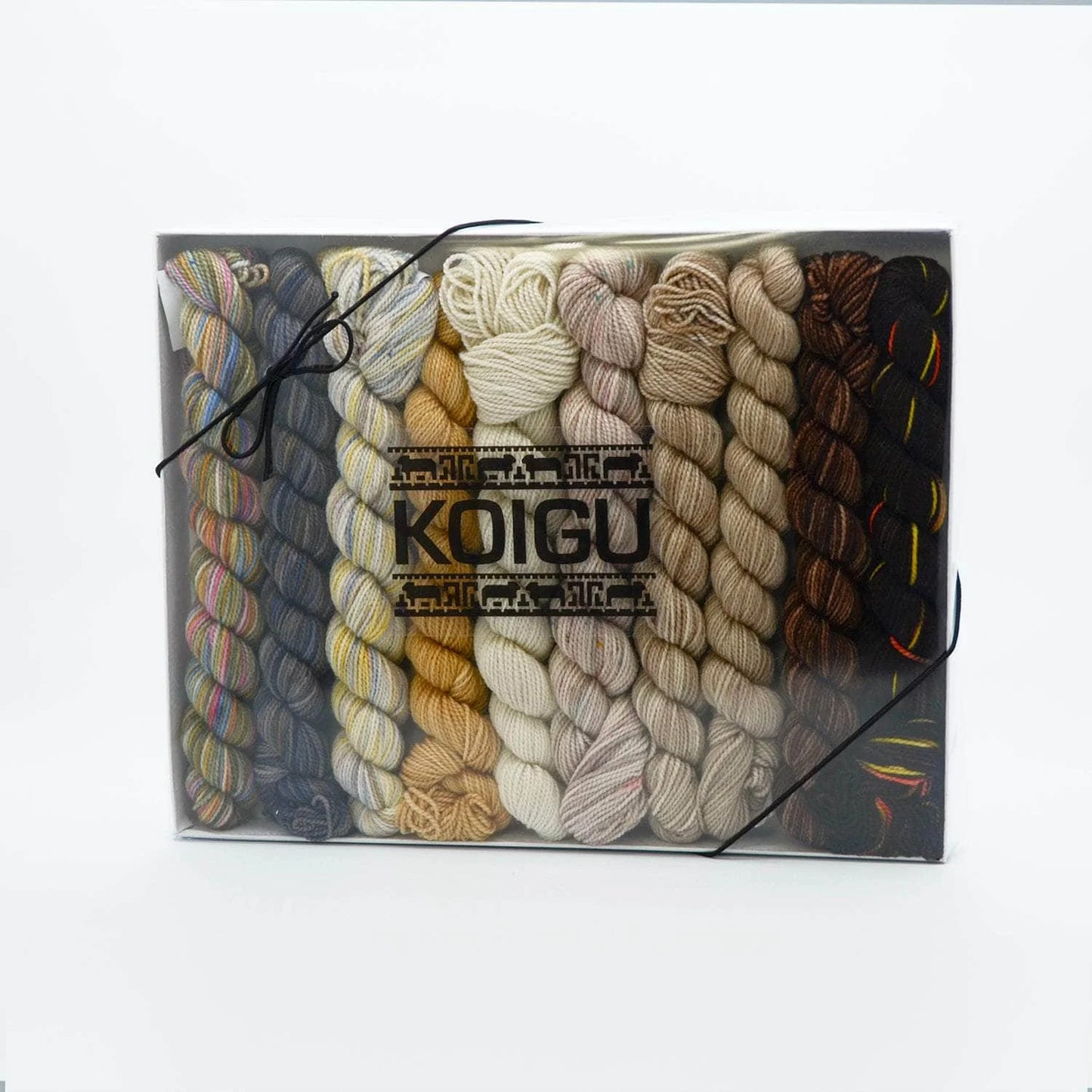 Koigu Pencil Box