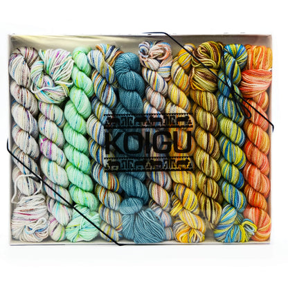 Koigu Pencil Box