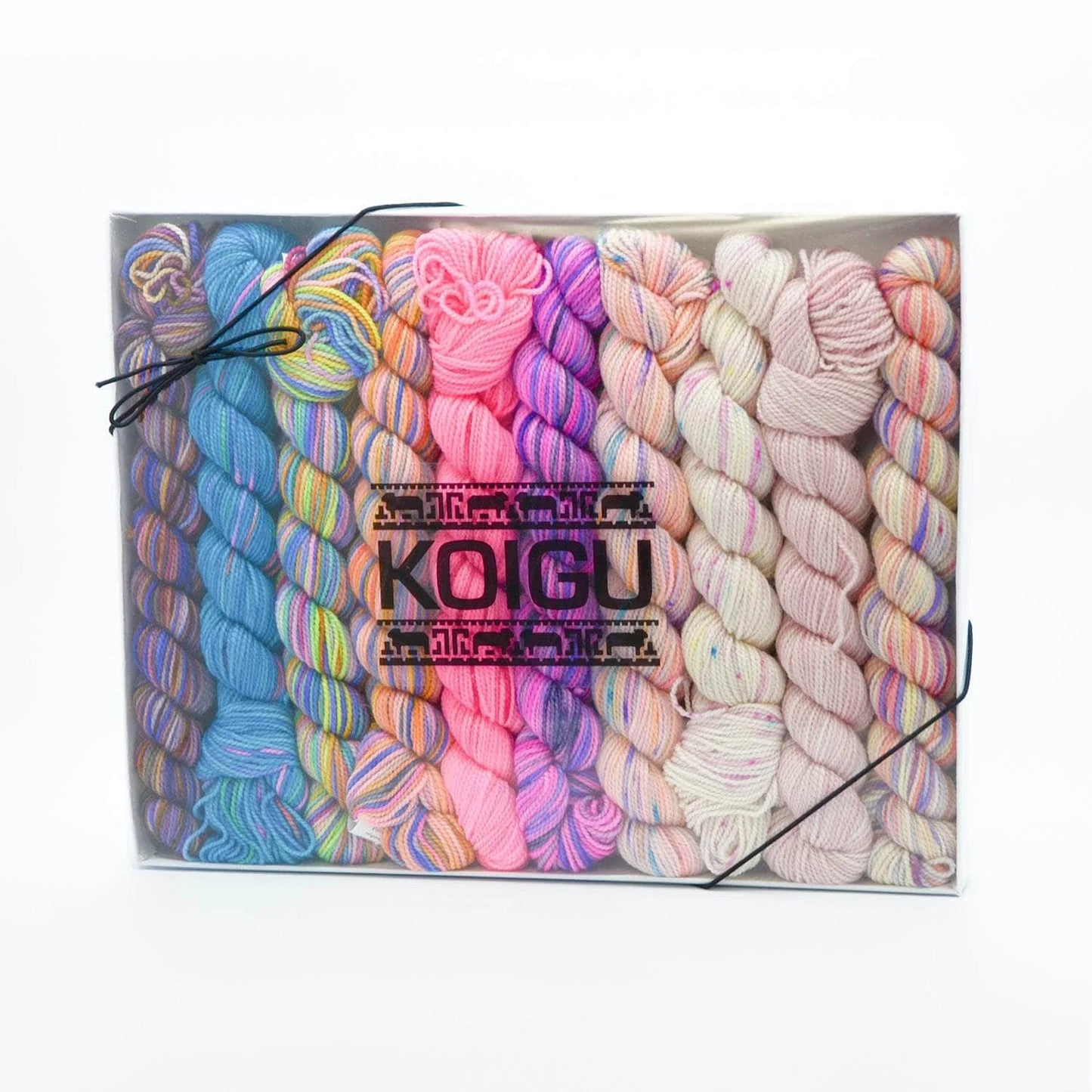 Koigu Pencil Box