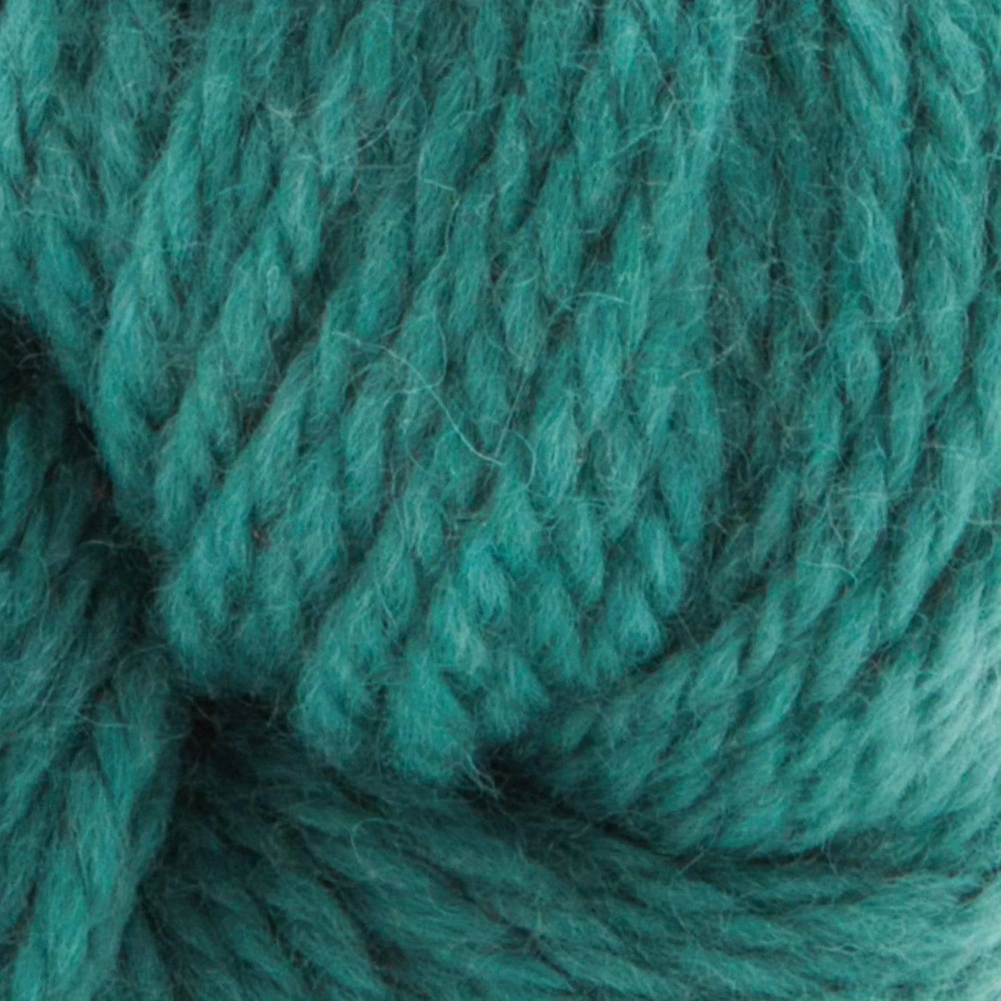 Stitch Please™ 100% Wool Chunky